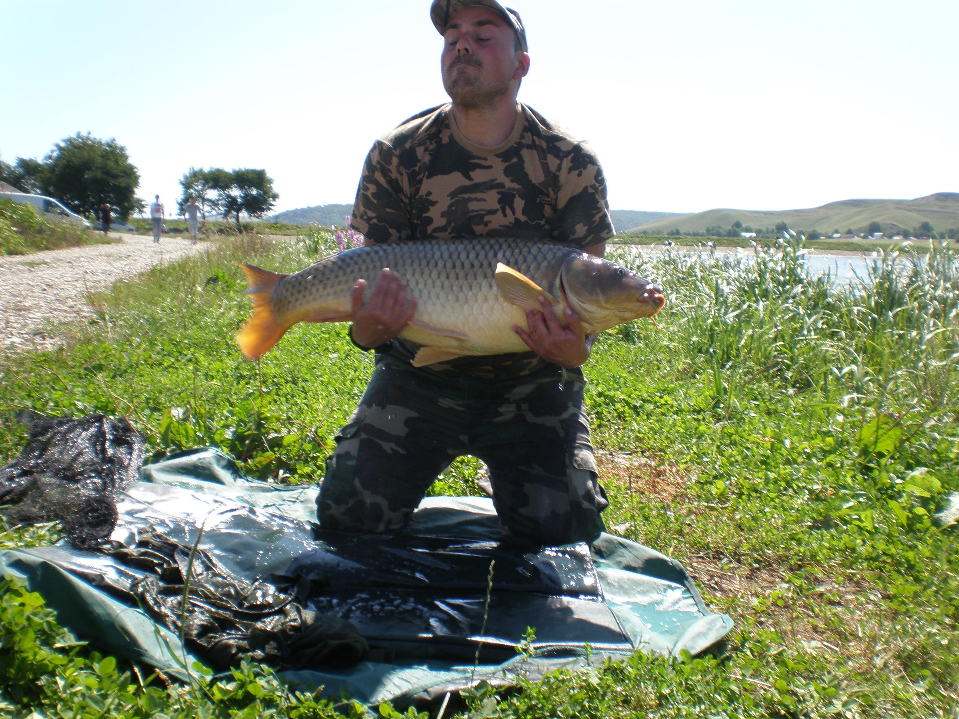 ccarp - P8210122.JPG